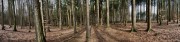 final-wald * Created with The Panorama Factory V5.2 by Smoky City Design * 15268 x 3617 * (25.62MB)